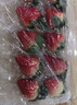 京鲜生 丹东红颜草莓300g+蓝莓15mm*3盒/125g 美莓生鲜水果礼盒 实拍图