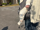 babycare腰凳婴儿背带多功能减震四季抱娃神器解放双手透气轻薄款卡斯尔灰 实拍图