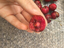 京鲜生 智利车厘子2J级5斤礼盒装果径约28-30mm  水果礼盒【赠送卡尺】 实拍图