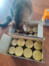 富力鲜（Frisian）泰国进口 猫罐头85g*24罐白身鲔鱼+牛肉罐头成猫宠物猫粮零食湿粮 实拍图