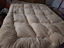 南极人冬季羊羔绒床垫褥子0.9x1.9米学生宿舍单人冬天加厚保暖软被铺底 灰色【加厚羊羔绒床垫】 90x200cm 实拍图
