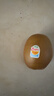 佳沛（zespri）新西兰  阳光金奇异果10粒礼盒巨大果单果约144-175g 水果 猕猴桃 实拍图