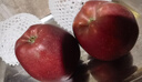 京鲜生 甘肃天水花牛苹果 又大又红 净重10斤 单果240g以上 新鲜水果  实拍图