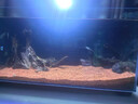 疯狂水草（FKSC）樱桃红雨林砂5斤装1.0-2.0mm鱼缸造景底砂 鱼缸底部沙石 鱼缸底沙 实拍图