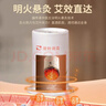 俞兆林艾灸盒小悬灸6筒54粒 艾灸艾草艾条艾柱艾灸罐家用艾草绒随身灸 实拍图