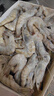 卖鱼郎先生青岛盐冻大虾净重3.6斤 10-15只/斤 白虾大虾基围虾生鲜 虾类 实拍图