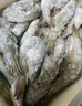 渔游记（YUYOUJI）海捕厄瓜多尔南美白虾净3.2斤20-25只/斤白虾大虾基围虾生鲜 虾类 实拍图