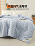 无印良品A类100%新疆纯棉花被子 冬季加厚被芯空调被棉被 8斤 200*230cm 实拍图