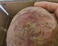 京鲜生广西紫罗兰紫薯 净重3斤单果100-400g新鲜蔬菜地瓜 源头直发 实拍图