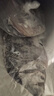 GUO LIAN国联水产三去罗非鱼4条共2.8斤净重非洲鲫鱼水产生鲜食材源头直发 实拍图
