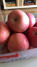 甜醉了 烟台苹果栖霞红富士新鲜水果生鲜山东特产脆甜整箱平果礼盒礼品 18枚单果75-80mm(净重约8斤) 实拍图