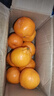 早熟新鲜椪柑丑橘子应季新鲜水果酸甜多汁整箱包邮 2斤装 实拍图