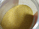 十月稻田 黄小米 2斤 五谷杂粮 低脂粗粮 早餐煮粥 正宗小米饭 米香浓郁 实拍图