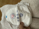 名典泰迪一体拉拉裤XXL码50片【15-17kg】婴儿尿不湿超薄干爽尿裤男女通用 实拍图