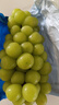 阳光玫瑰青提葡萄新鲜水果晴王香印晴王提子整箱产地直发 带箱3斤(10g+) 实拍图