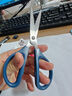 得力(deli)170mm办公生活家用剪刀 中号剪子手工剪纸刀 办公用品 蓝色0603 实拍图