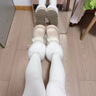啄木鸟保暖毛毛厚底雪地靴女款2025新款冬季增高短靴加绒加厚东北大棉鞋 米白色 36 (230mm) 实拍图