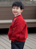 嘟嘟家宝宝拜年服冬装儿童冬季新年红色毛衣男童针织衫女童长袖上衣童装 红色 120 晒单实拍图