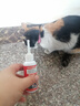 MUMUPANDA宠物洗耳液猫咪耳螨专用耳漂狗狗用耳朵清洁马拉色菌中耳炎滴耳液 实拍图