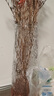 漫生活透明玻璃花瓶插花水养大号客厅摆件高级感轻奢水培容器树皮纹28cm 实拍图