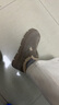 百丽流浪法棍厚底增高休闲女鞋一脚蹬懒人勃肯鞋JD009DM5 灰毛里 35 实拍图