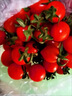 京鲜生＆陇小番 釜山88玲珑小番茄单果4g起净重2斤(500g*2盒) 源头直发 实拍图