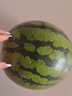 京鲜生 无籽麒麟西瓜 1粒装 单果5-7斤 生鲜水果 实拍图