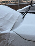 闲鸟汽车前档风玻璃罩遮阳挡防晒隔热防霜冻挡雪罩冬季遮雪挡全罩 实拍图