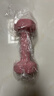 诚悦彩色浸塑哑铃男女士家用健身肌肉手臂塑形轻重量樱粉2kg*2CY-569 实拍图