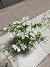水木然 北欧仿真尤加利雏菊室内盆景摆件客厅餐桌假花仿真花摆设 实拍图