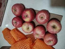 京鲜生 陕西洛川苹果红富士12粒 单果180-220g 生鲜水果 实拍图