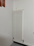 勃森散热器壁挂式家用水暖暖气片客厅卧室全屋定制 钢制60FY1800mm高 实拍图