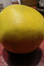 京地达柚子福建黄金葡萄柚西柚甜柚水果送礼净重4.5斤单果250g+源头直发 实拍图