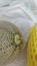 北纬23°西州蜜瓜约1.3kg 实拍图