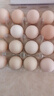 鲜鸡蛋50±5克/枚 柴鸡蛋农家散养笨鸡蛋 新鲜鸡蛋 30枚 实拍图
