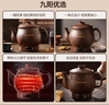 九阳（Joyoung）煎药壶 中药壶中药锅熬药罐 3L大容量一体式全自动陶瓷电砂锅智能家用养生壶炖药煲电药壶GD111 实拍图