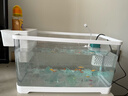 阔庭（KUOTING）鱼缸水族箱客厅桌面生态透明造景家用带灯懒人制氧过滤金鱼缸白色 实拍图