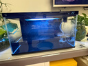 米家（MIJIA）智能生态鱼缸定时喂食智能鱼缸+画法几何增氧泵套装 实拍图