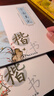 金枝叶楷书凹槽练字帖成年人练字专用字帖正楷速成硬笔反复自动消失成人字体临摹书法练习专用全套写字贴 实拍图