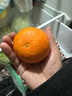 京鲜生 四川爱媛38号果冻橙 净重5斤 单果130g起 生鲜水果柑橘桔子礼盒 实拍图