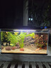 疯狂水草（FKSC）真水草鱼缸造景套餐净化水质懒人鱼缸水草植物直接入缸蜈蚣草 【火山石】水草入门组合3棵 实拍图