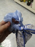 蝴蝶结发带女2025新款飘带头绳大肠发圈高级感扎头发皮筋发饰发绳 蓝色 实拍图