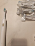 东耐伦 适配小米电动牙刷头T300/T500 米家青春版MI成人声波柔软毛清洁通用替换刷头牙刷头 8支 T300/T500深度清洁蓝 实拍图