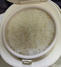 苏泊尔（SUPOR）小电饭煲1-2人用1.6升陶瓷不粘锅内胆快煮饭煮小米粥蒸饭宿舍智能多功能小型迷你微压电饭锅F16R71 实拍图
