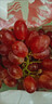 云南克伦生无籽红提现摘先发脆甜多汁 带箱5斤 实拍图