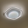 雷士（NVC）LED 吸顶灯卧室灯奶油风高显护眼母婴光RG0防蓝光灯具儿童灯儿童 72W 20㎡内适用 4156lm 花朵 实拍图