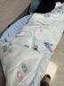 匹鲁儿童被子冬季婴儿A类宝宝幼儿园秋冬被芯2.7斤 120*150cm小梦想家 实拍图