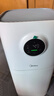 美的（Midea）【母婴级】空气净化器鼻炎家用除甲醛除烟味异味过敏原空气净化机森林家L1 Lite 实拍图