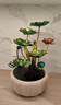 天通泰流水喷泉风水轮招财摆件客厅办公室桌面电视柜循环水景观乔迁送礼 叶叶莲升带灯圈(带水轮) 实拍图