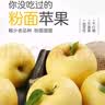 樱慕晴 辽宁大连黄元帅苹果 粉面起沙东北特产生鲜新鲜当季水果整箱 净重4.7斤【75-80mm】 实拍图